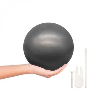BALLON SUISSE-GYM BALL Ballon de fitness pour pilates et gymnastique - Vi