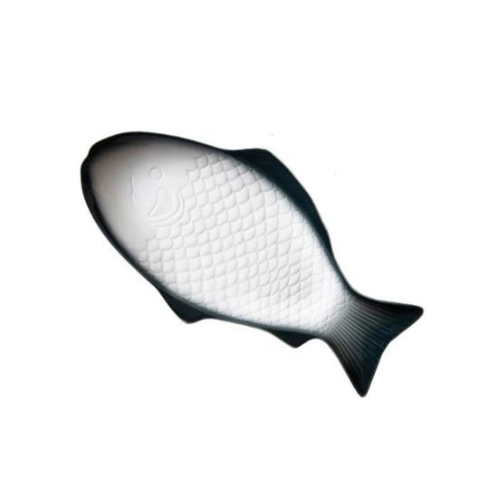 FBGood Récipient à Poisson Cuit à La Vapeur - Marmite Vapeur Micro-ondes Pour Cuisson Saine Et Rapide Du Poisson (Blanc)