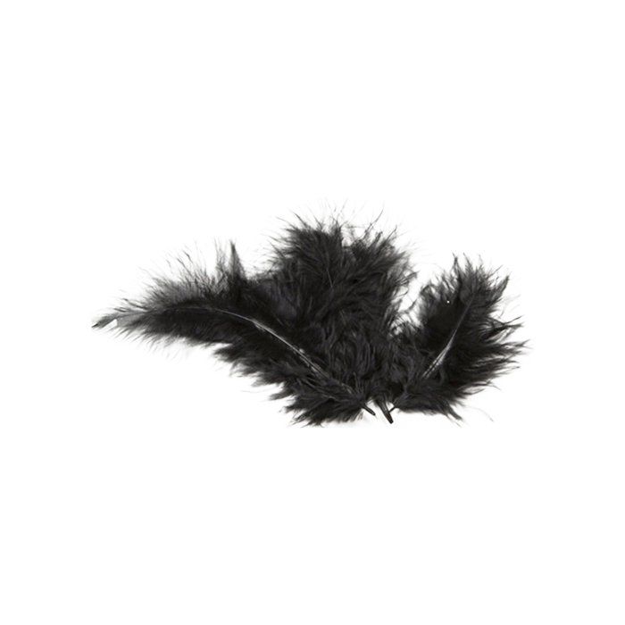 HOBI 20 Plumes de Décoration Noir