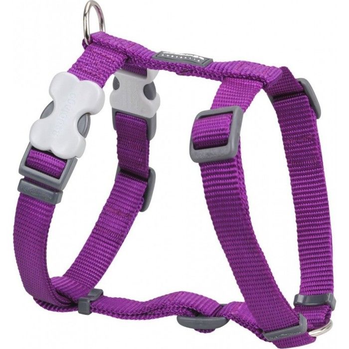 Harnais Chien - Red Dingo - Basic Violet - Réglable - Taille T3 - Couleur Violet