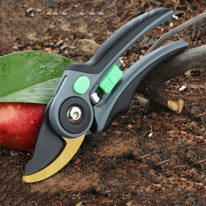 Sécateur à Long Manche 100 Cm - Élagueur Pour Branches Jusqu'à 30 Mm - Jardinage Hauteur, Taille Arbres, Récolte Fruits - 5