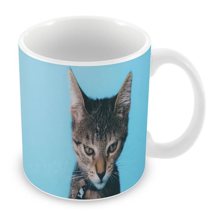 Mug Ceramique Tasse Chaton Mecontent Sur Fond Bleu Animaux Cdiscount Maison