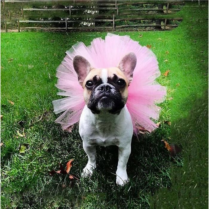 Jupe d ete jupe Tutu en Tulle pour chien tenue princesse pour animal de compagnie chat bouledogue Type Plum L Waist 45CM Cdiscount