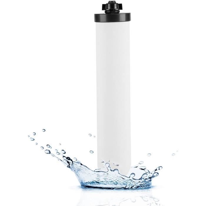 L'invention d'un filtre à eau capable de stopper 99.9 % des