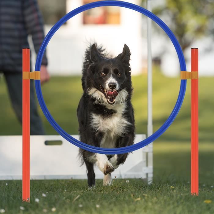 AUFUN Agility Kit d'équipement pour chien avec tunnel pour chien, barres  tressées, anneau de saut