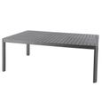 Table de jardin extensible en aluminium gris Graphite Paradize - 10 places - Hespéride-0