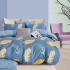 FANNY & CÉLINE Parure de lit - FC - 203 - 100% Coton - 200x200cm - 2 Taies 65x65cm - Imprimée double face