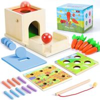 Jeux Montessori Bois | Jouet de Chute de Balle, Récolte de Carottes, Ver Attrape, Boîte à Pièces | Sensoriel Bebe 1 -3 Ans