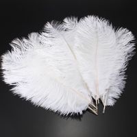 Plumes d'autruche naturelles blanches grande Plume beau Costume de fête de mariage artisanat Plume décor à la maison - Type 30-35cm