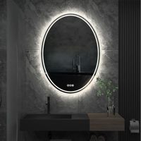 LUVODI Miroir Mural Salle de Bain LED Miroir Ovale Tactile Lumineux avec Éclairage Intégré LED 80 x 60 cm Anti Buée