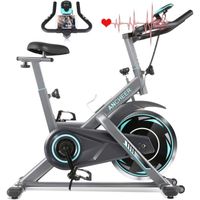 Vélo d'appartement Cardio Roue d'inertie 13kg Vélo Biking Fitness Silencieux Résistance Réglable Écran LCD Charge Max150 KG-Gris