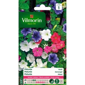 GRAINE - SEMENCE VILMORIN Petunia varié
