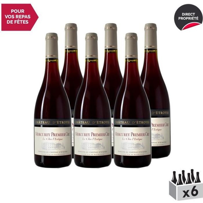 Mercurey 1er Cru Le Clos l'Evêque Rouge 2017 - Lot de 6x75cl - Château d'Etroyes - Vin AOC Rouge de Bourgogne - Cépage Pinot Noir