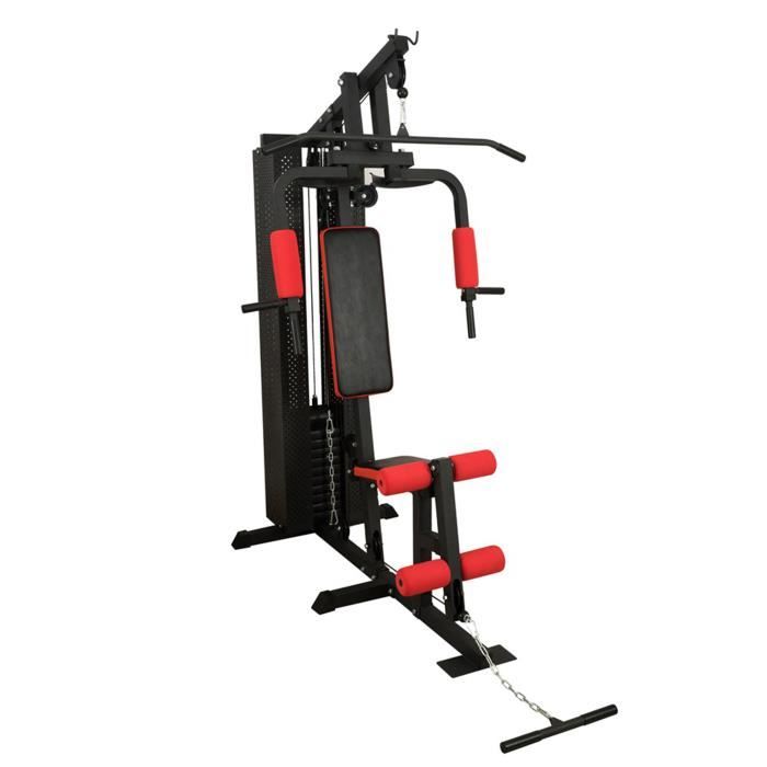 Station de musculation Peak Power Basic 30 en 1, 30 exercices différents avec poste bras et poste jambes, poids de 55 kg inclus