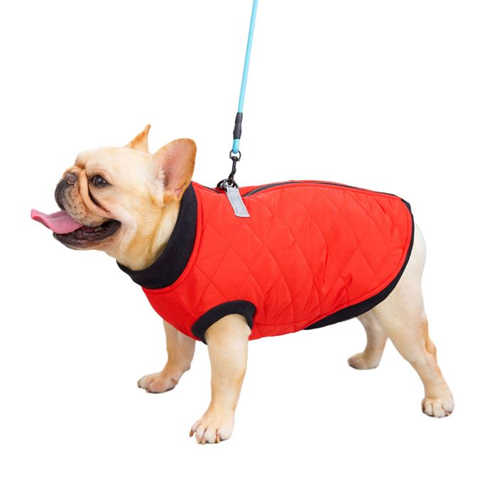 Meilleurs prix pour Manteau pour chien et chat avec laisse couleur ancre gilet pour chiot costume de chihuahua carlin (rouge)