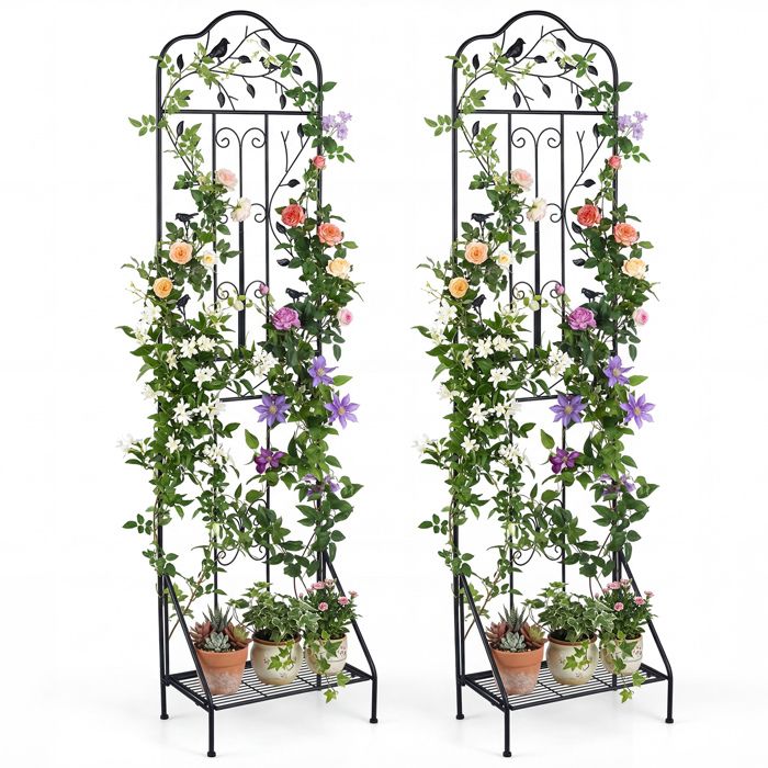 GIANTEX Treillis de Jardin en Métal pour Plantes Grimpantes pour Légumes Fleur&Fruits Support de Vignes (Oiseau Noir 50x190CM 2)