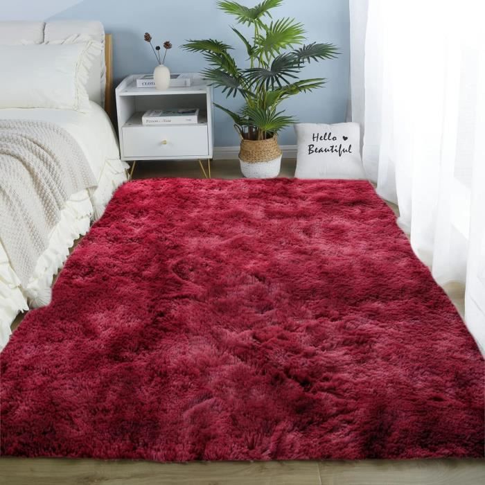 DweIke Petit Tapis De Couloir Moelleux Pour Chambre à Coucher, 0,6