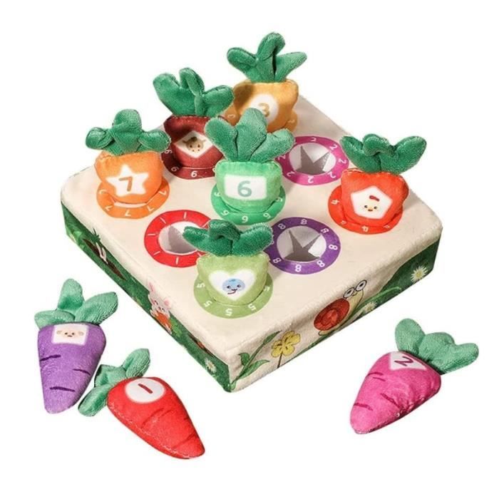 Jouet déveil - Jeux Sensoriel - Multicolore - Bois - Pour Bébé 1 an
