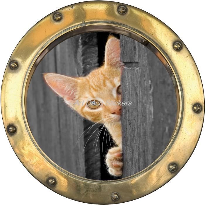 Sticker Hublot Trompe L Oeil Deco Chat Dimensions xcm Cdiscount Maison