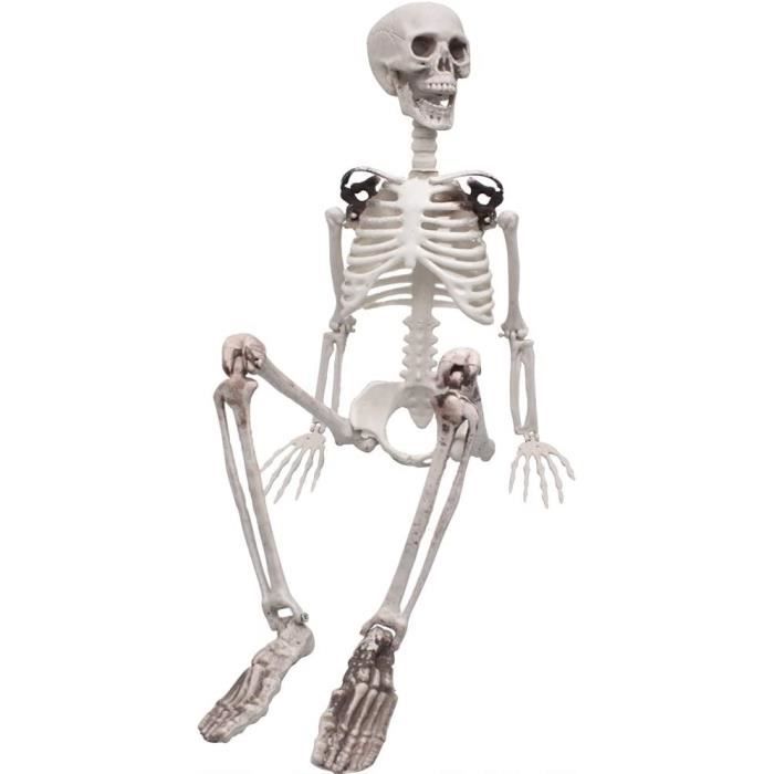 Squelette Halloween 165 Cm – Taille Réelle – Articulé – Plastique