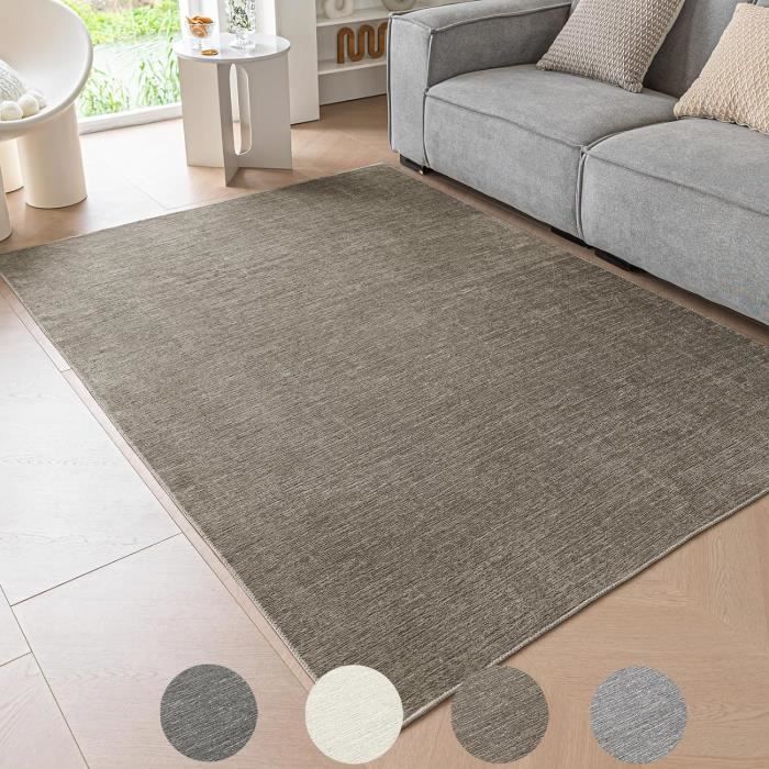Tapis Taupe Salon