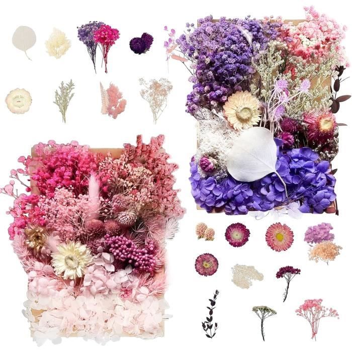 Fleurs Séchées Pour Bougies