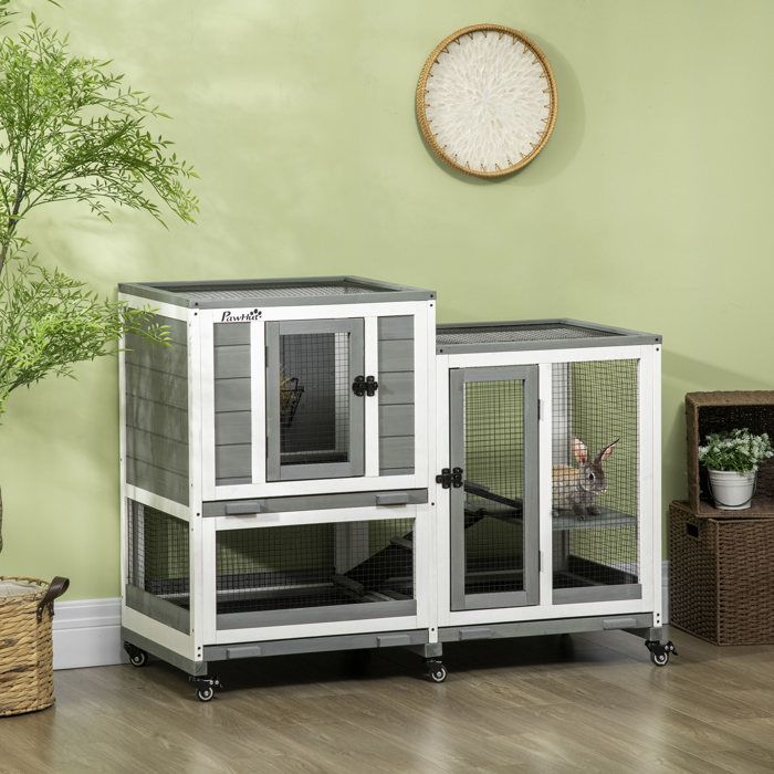Clapier Lapin Interieur Design