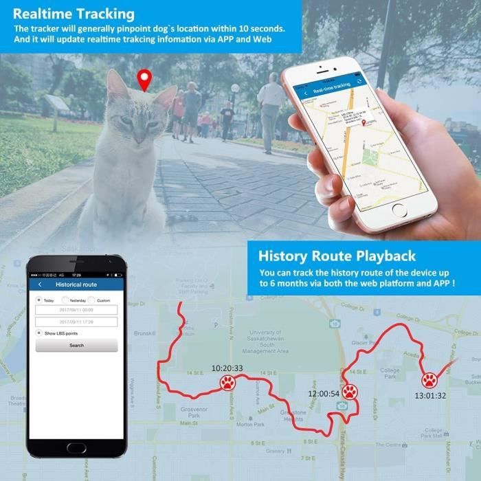 Traceur GPS Chiens Chats sans Abonnement avec Application Gratuite