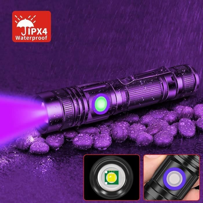 21 DEL UV - Lampe de poche portable à lumière noire ultraviolette, Mini  torche, Lampe torche, Lampe pour urin - Cdiscount Bricolage