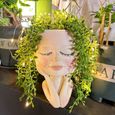 Pot de fleurs solaire pour le visage, la tête de plantes succulentes - Avec LED solaire Résine étanche avec trou de vidange[S92]-0