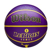 Ballon  Wilson NBA Player Icon Lebron  WZ4027601XB      T:7    C:VIOLET