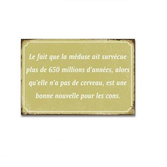 Plaque Tableau Cadre Reflexion Humour Cdiscount Maison Plaque Tableau Cadre Reflexion Humour Cdiscount Maison