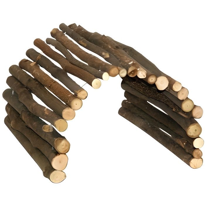 Petite passerelle en bois pour rongeurs