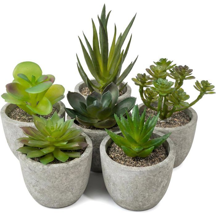 Plantes artificielles succulentes dintérieur - Lot de 6 - 7 x 10 x 7 cm - Plastique - Résistant à la poussière