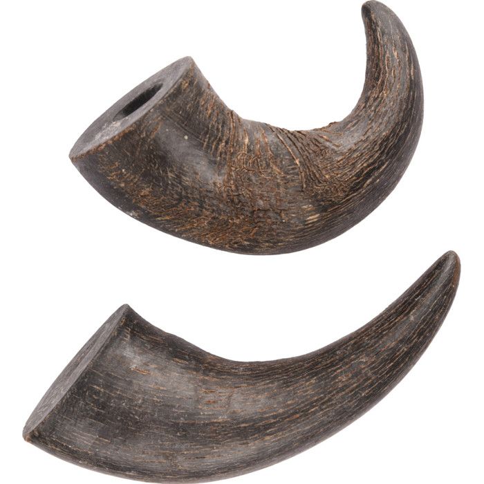 Meilleurs prix pour 2 cornes de buffle séché small Nature snack, pour chiens - animallparadise 20 Noir