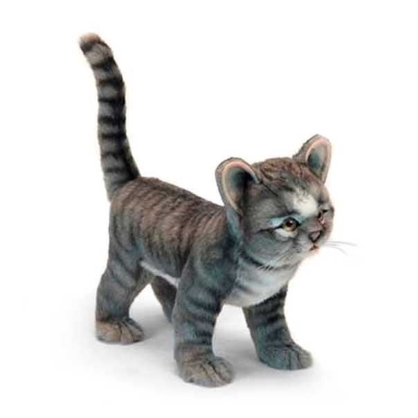 chat nounours