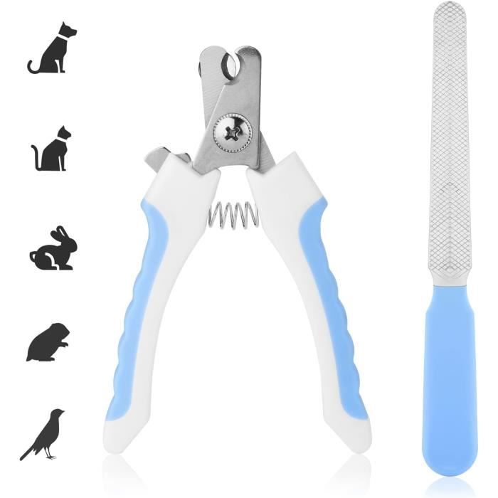 Têtes De Rechange Pour Lime à Ongles Chien - Lot De 5 - Grain 80 - Revêtement Diamant - Compatible Petites Et Grandes Races