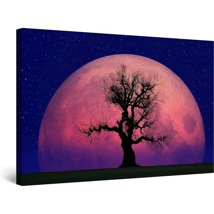 Toile Peinture Paysage éclipse De Lune - Décoration Murale Sans Cadre