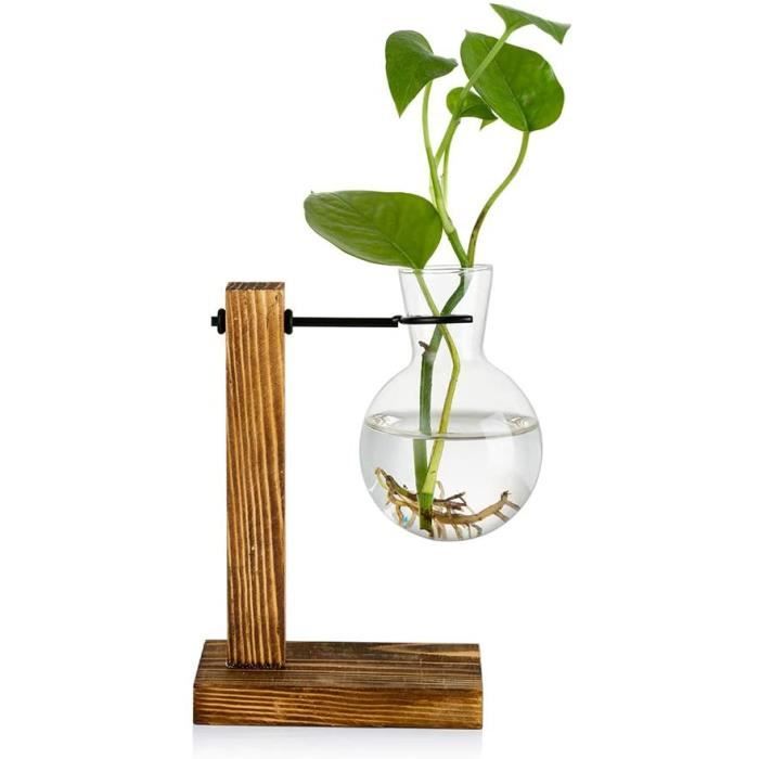 vases en verre avec support en bois Terrarium pour plantes hydroponiques Accueil Bureau Jardin Décor LESES Vase en verre Station de propagation
