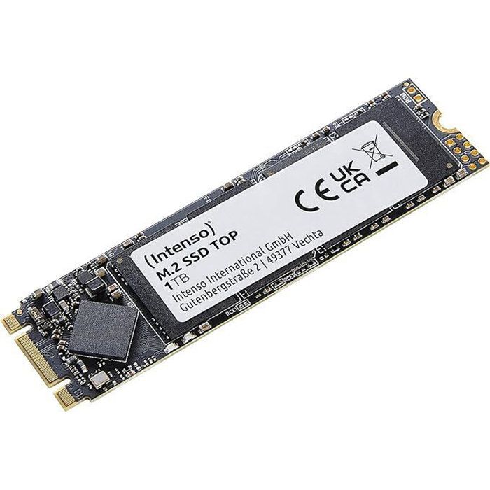 INTENSO - Top - SSD Interne - 1 To - M.2 SATA III 6 Gb/s - Vitesse de lecture jusquà 520 Mo/s