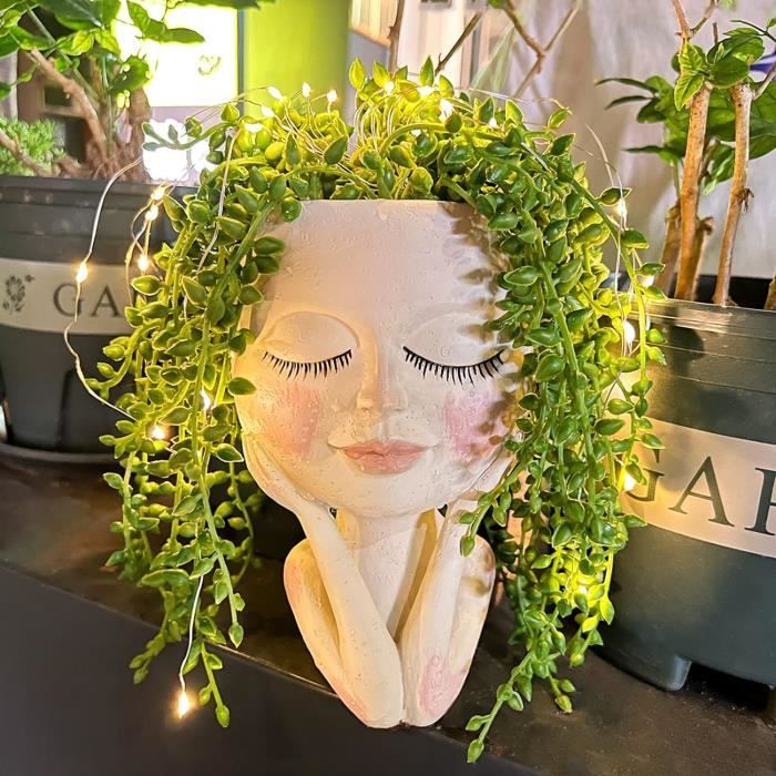 Pot de fleurs solaire pour le visage, la tête de plantes succulentes - Avec LED solaire Résine étanche avec trou de vidange[S92]