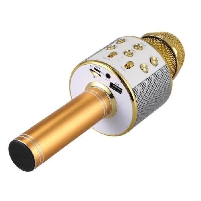 MAX KM01 - Microphone Karaoké micro sans fil Bluetooth – Doré, haut-parleur  intégré, micro modificateur de voix et écho