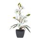 Petite Orchidée Artificielle Blanche En Pot Noir 36 Cm