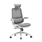 SIHOO M59AS Chaise de Bureau Ergonomique, avec Accoudoirs 3D rabattable, Double Soutien Lombaire Dynamique Adaptatif et Maille