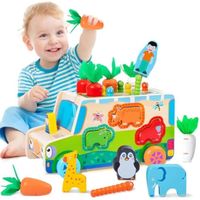 Jeux Montessori Jouet Enfant 1 2 3 4 5 Ans Garcon Fille Éducatif Jeu de Peche Jeu De Tri en Bois Récolte Reconnaître Animaux Légumes