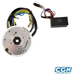 Bobine dallumage HT P2R pour Scooter Peugeot 50 Ludix 2004 /à 2020 Neuf