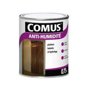 Peinture Isolante Anti-condensation et Anti-moisissure C350 — BRYCUS