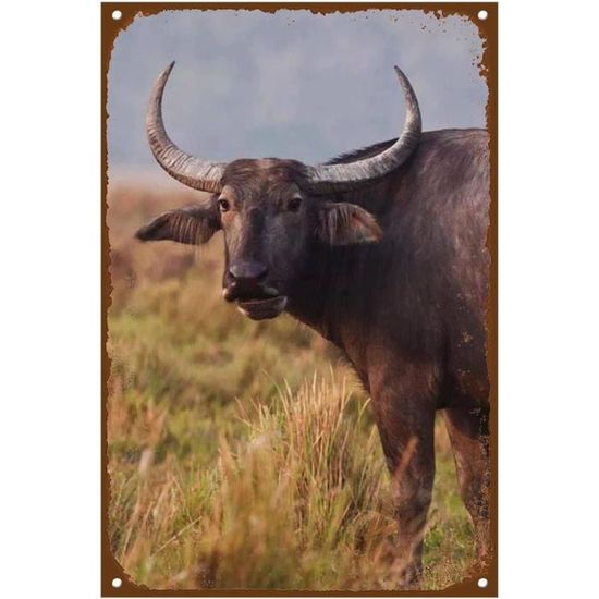 WANDGU Lot De 5 Plaques En Métal Rétro Pour Garage - 20 X 30