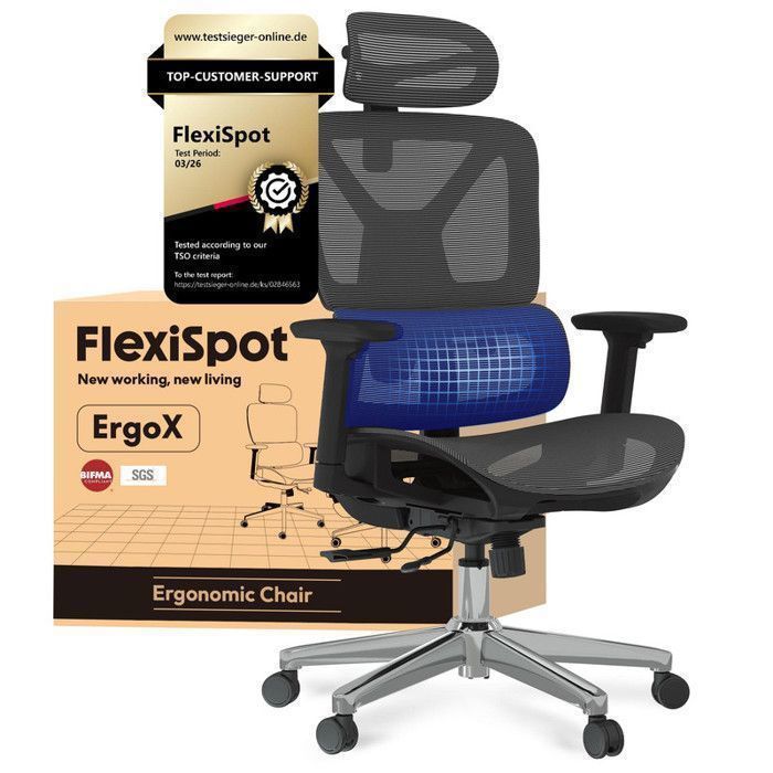 FlexiSpot Chaise de Bureau Ergonomique Appui-tête 3D Accoudoir 3D et Support Lombaire 5D Indépendant en Maille Gris