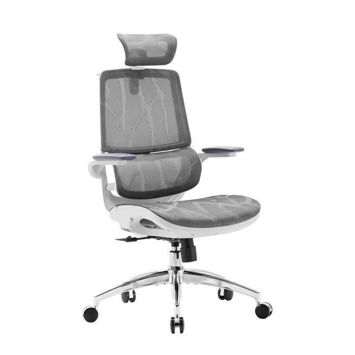 SIHOO M59AS Chaise de Bureau Ergonomique avec Accoudoirs 3D rabattable Double Soutien Lombaire Dynamique Adaptatif Blanc